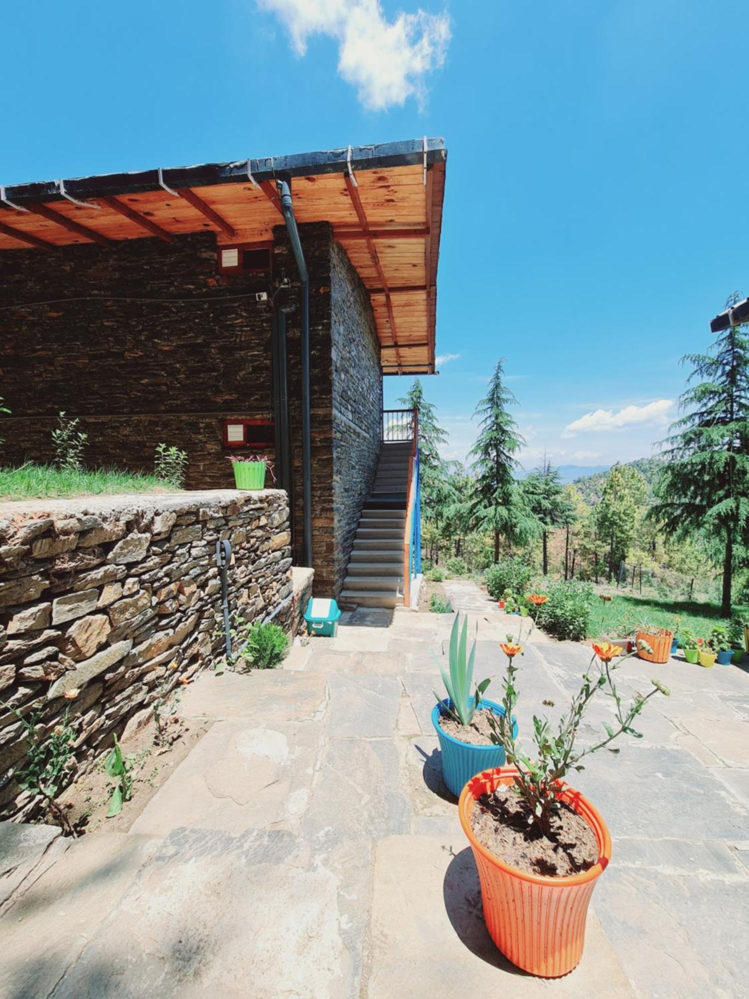 The Roots Homestay アルモラ エクステリア 写真