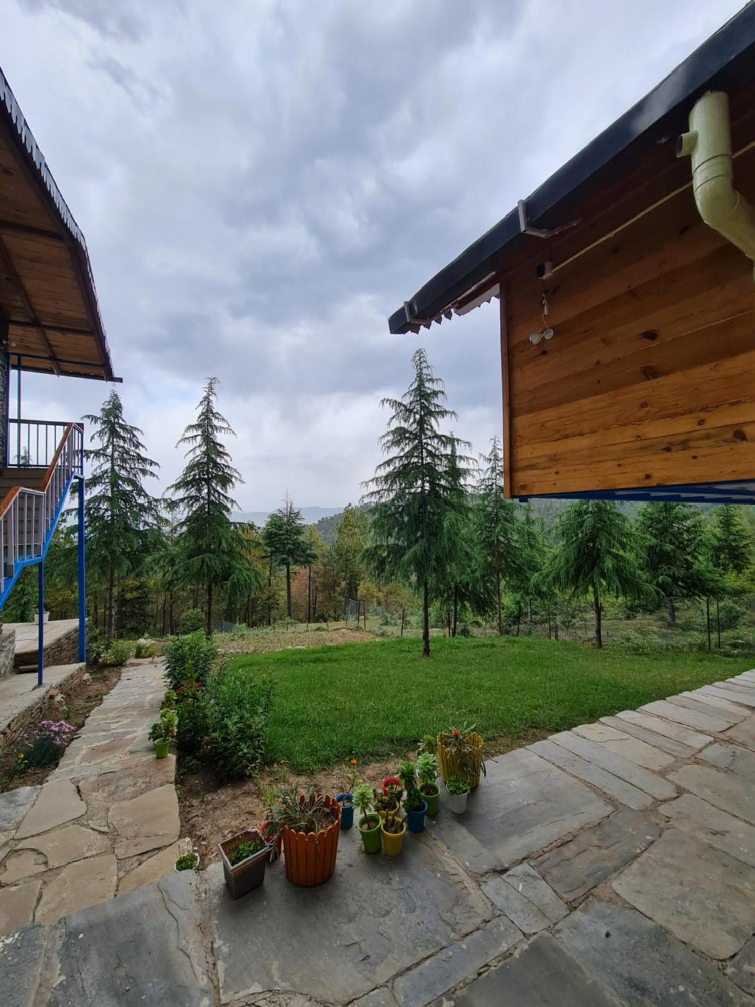 The Roots Homestay アルモラ エクステリア 写真
