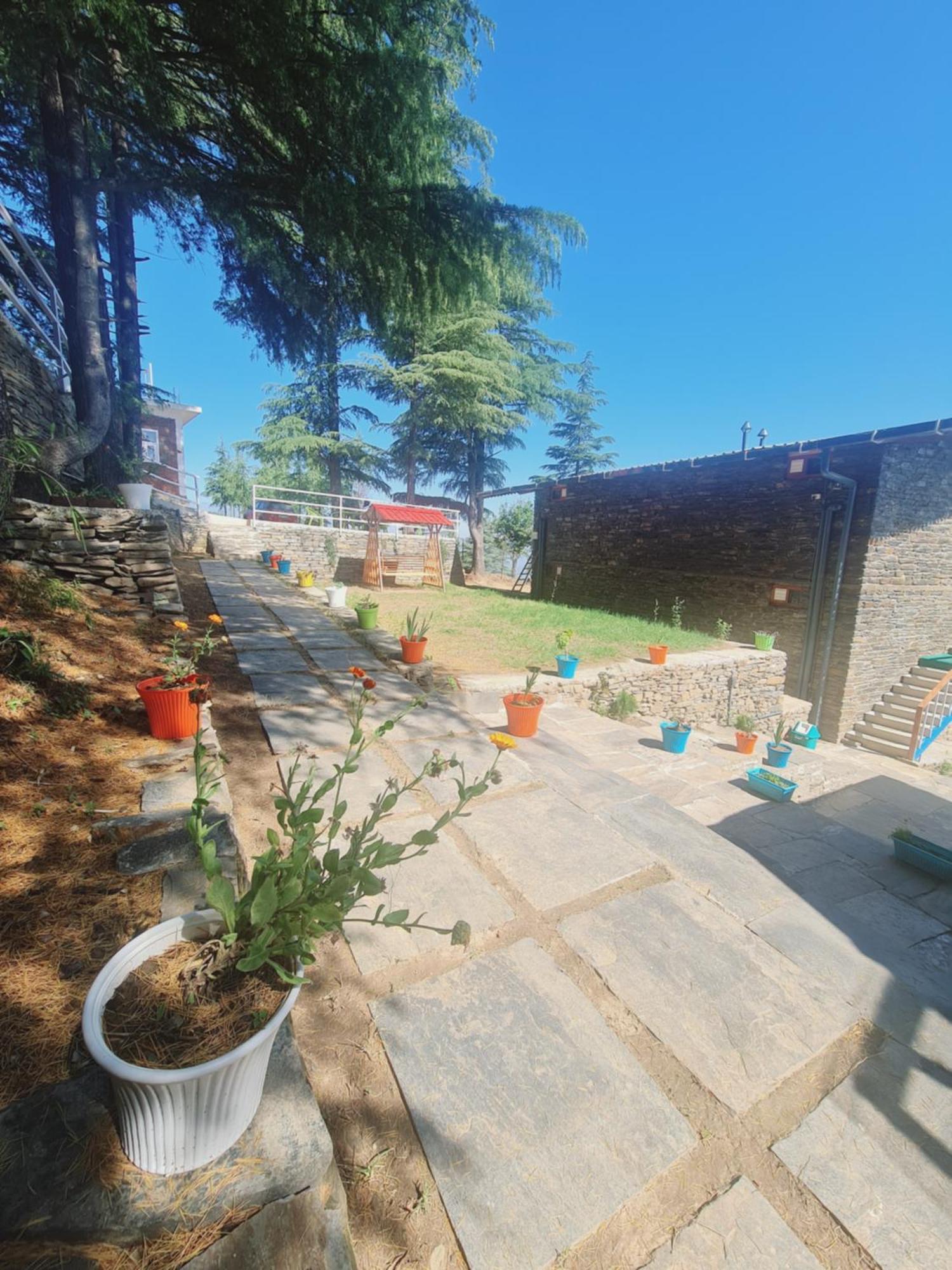 The Roots Homestay アルモラ エクステリア 写真